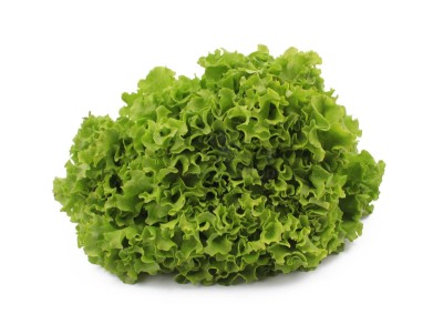 Салат айсберг 300 г - купить в Новомихайловке